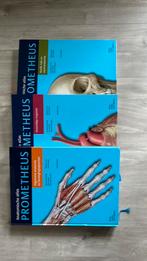 Udo Schumacher - Prometheus Anatomische atlas 2, Boeken, Studieboeken en Cursussen, Ophalen, Udo Schumacher; Michael Schünke; Erik Schulte