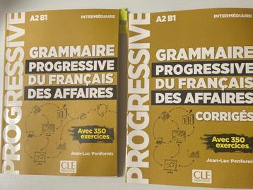 Grammaire Progressive du Français - Jean-Luc Penfornis A2-B1 beschikbaar voor biedingen