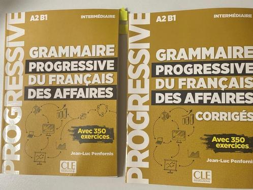Grammaire Progressive du Français - Jean-Luc Penfornis A2-B1, Boeken, Studieboeken en Cursussen, Gelezen, Hoger Onderwijs, Ophalen of Verzenden