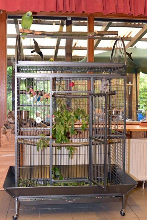 Cage perroquet ARA cage cacatoes cage amazone gris gabon, Dieren en Toebehoren, Vogels | Hokken en Kooien, Nieuw, Volière, Hout