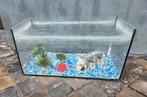 Aquarium, Ophalen, Zo goed als nieuw