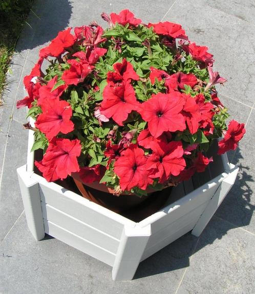 Houten bloembakken, Tuin en Terras, Bloembakken en Plantenbakken, Zo goed als nieuw, Hout, Binnen, Balkon, Tuin, Ophalen