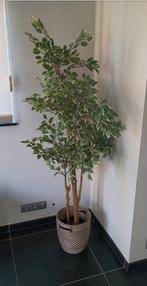 Kunstplant in sierpot, Ophalen, Gebruikt