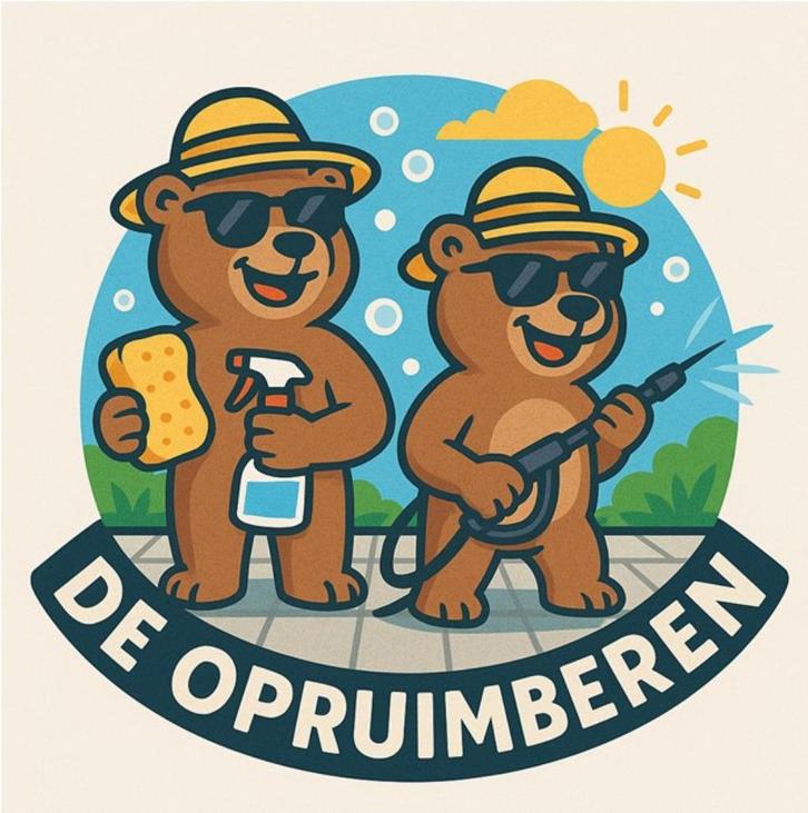 De Opruimberen staan klaar voor jou!, Diversen, Overige Diversen, Gebruikt, Ophalen