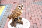 Kerkuil op een stam, perfecte imitatie!, Tuin en Terras, Ophalen of Verzenden, Nieuw, Kunststof, Dierenbeeld