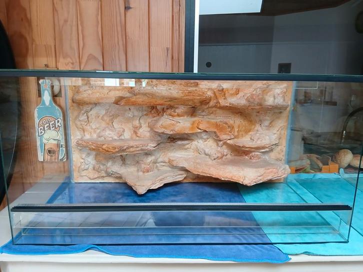 Terrarium 80/40/40 avec décor, Dieren en Toebehoren, Reptielen en Amfibieën | Toebehoren, Zo goed als nieuw, Ophalen