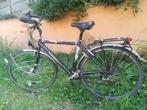 Trekkingfiets, Globe traveller, koga miyata, Enlèvement, Utilisé, 50 à 53 cm, Koga Miyata