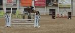 Terug 1 stal beschikbaar voor trainen springpaard, Dieren en Toebehoren, Zadelmak, Springpaard