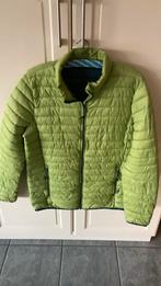 Jas maat 44, Kleding | Dames, Jassen | Winter, Ophalen of Verzenden, Zo goed als nieuw, Maat 42/44 (L)