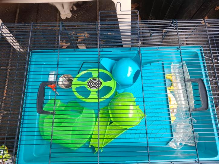 Verschillende kooien voor hamsters/ muizen/ gerbils, Dieren en Toebehoren, Knaagdieren en Konijnen | Hokken en Kooien, Kooi, Ophalen