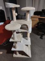 Kat krabpaal, Enlèvement