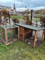 9 kwartels + kooi mooi aan de leg, Dieren en Toebehoren, Ophalen, Gebruikt, Kippenhok of Kippenren