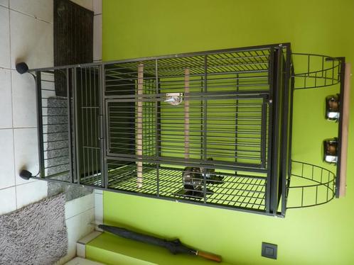 papegaaikooi, Dieren en Toebehoren, Vogels | Hokken en Kooien, Nieuw, Vogelkooi, Metaal, Ophalen