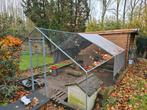 Kippenren, Dieren en Toebehoren, Pluimvee | Toebehoren, Ophalen