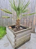 Planten, Ophalen, Overige soorten