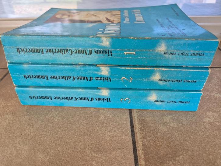 Drie delen boek Visions d'Anne-Catherine Emmerich, Boeken, Literatuur, Gelezen, Europa overig, Ophalen of Verzenden