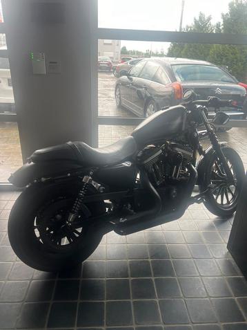 Harley davidson 883 black Iron bj 2010