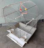 Cage perroquet Titi, Enlèvement ou Envoi, Métal, Neuf, Cage à oiseaux