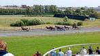 3 Tickets Oostende Koerse 25/08, Tickets en Kaartjes