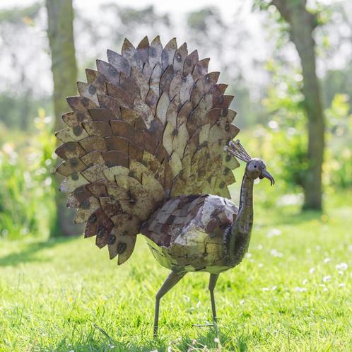 Metalen pauwen - Mooievogels, Dieren en Toebehoren, Vogels | Overige Vogels, Tropenvogel, Meerdere dieren