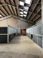 Pension chevaux, 2 of 3 paarden of pony's