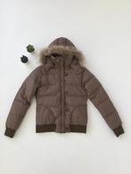 Winterjas Talking French maat S, Kleding | Dames, Jassen | Winter, Talking French, Bruin, Ophalen of Verzenden, Maat 36 (S)