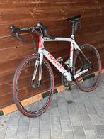 Wilier Triestina GTR, Ophalen, Zo goed als nieuw, Carbon, Heren