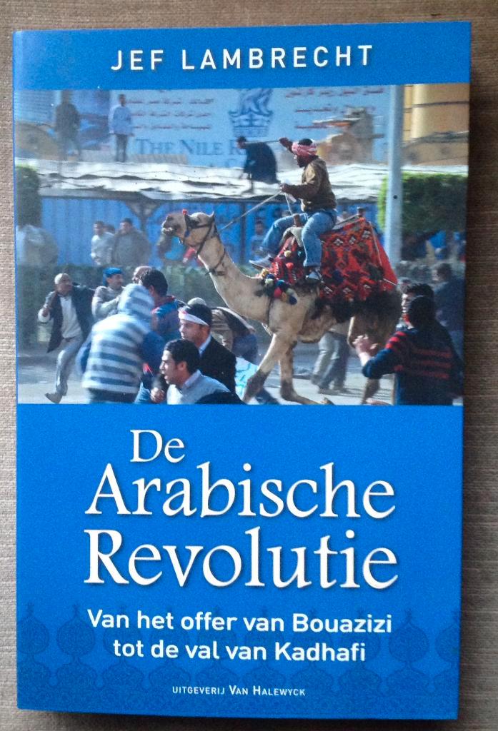 Lot   Politiek en Maatschappij (36 boeken) - Moet weg, Boeken, Politiek en Maatschappij, Ophalen