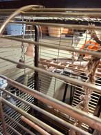 Cage pour perroquets, Animaux & Accessoires, Enlèvement, Utilisé, Cage à oiseaux