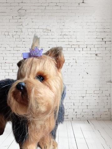 Hondenhaarklem: functioneel, grappig en mooi beschikbaar voor biedingen