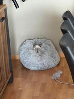 Panier anti stress chatsvou chien, Dieren en Toebehoren, Kattenmanden, Ophalen, Nieuw, Overige