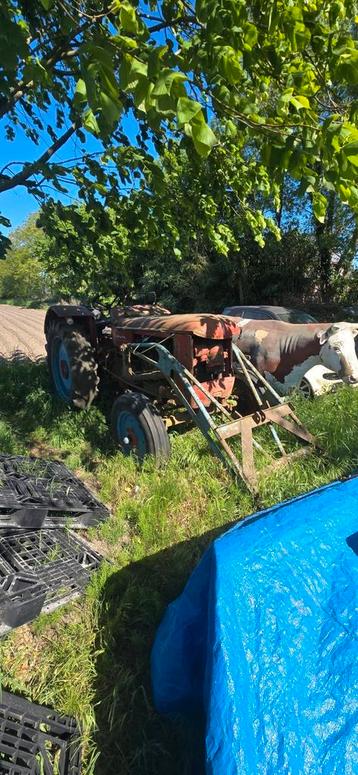 Hanomag tractor  beschikbaar voor biedingen