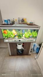 Aquatlantis Aquarium full équipe 100x50x40, Dieren en Toebehoren, Vissen | Aquaria en Toebehoren, Ophalen, Zo goed als nieuw