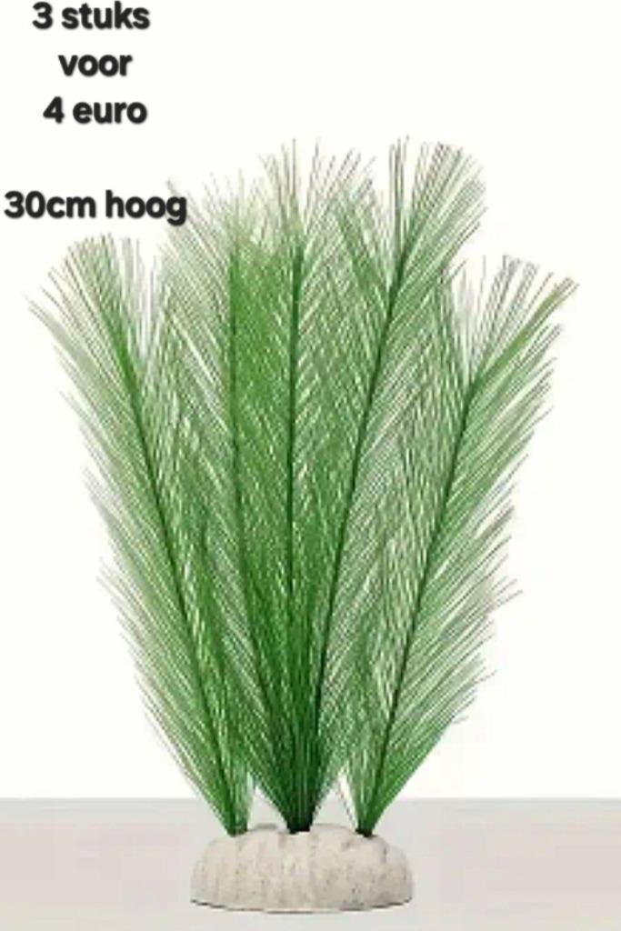 Plastieken plantjes te koop of te ruil, Animaux & Accessoires, Poissons | Aquariums & Accessoires, Neuf, Plante(s), Pierre ou Bois