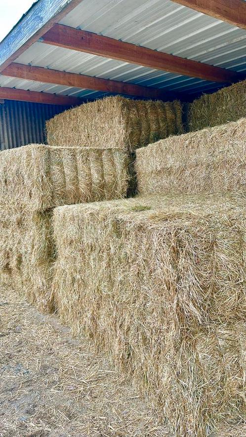 Grote balen stro en hooi, Dieren en Toebehoren, Dierenvoeding, Ophalen