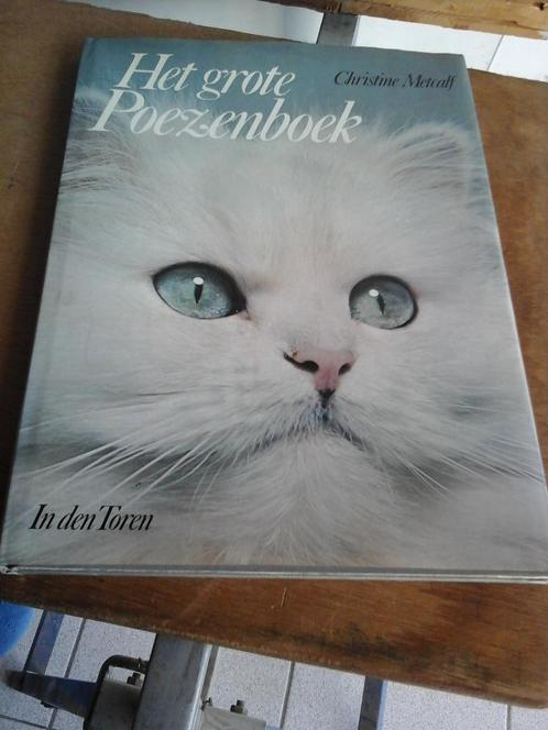 HET GROTE POEZENBOEK, Boeken, Dieren en Huisdieren, Zo goed als nieuw, Katten, Ophalen of Verzenden