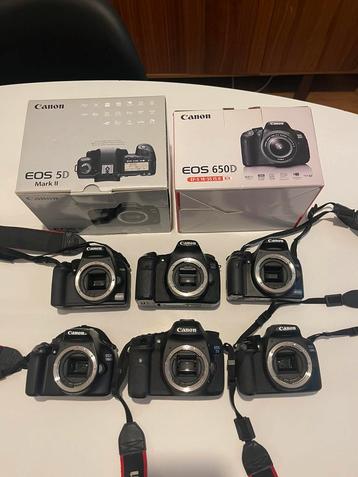 8x Canon EOS DSLR weinig clicks! beschikbaar voor biedingen