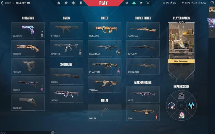 Valorant Account Diamond 2 – RGX Karambit, Champions Phantom, Computers en Software, Overige Computers en Software, Nieuw, Verzenden