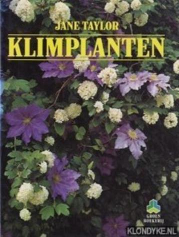 Klimplanten Jane Taylor 124 blz beschikbaar voor biedingen