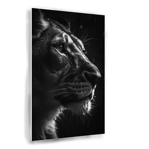 Tijger zwart wit schilderij 80x120cm Forex + Ophangsysteem, Huis en Inrichting, Woonaccessoires | Wanddecoraties, Nieuw, Verzenden
