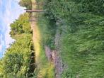 Grond 5510m2 te buggenhout, opstal, Immo