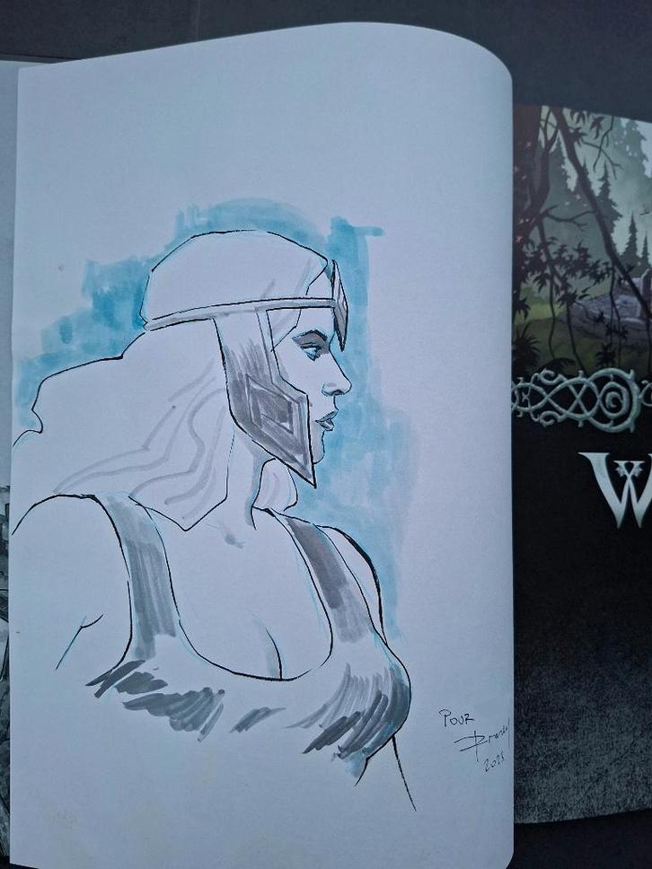 Valkyrie intégrale avec dédicace (HC), Livres, BD, Neuf, Enlèvement ou Envoi