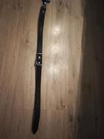 Halsband hond, Ophalen of Verzenden, Nieuw, Hondenriem