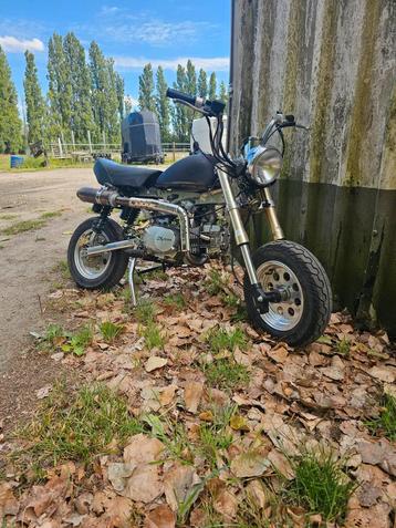 Honda monkey 125cc  beschikbaar voor biedingen