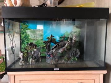 Aquarium beschikbaar voor biedingen