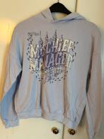 Harry Potter Trui maat 170, Kinderen en Baby's, Kinderkleding | Maat 170, Ophalen of Verzenden, Zo goed als nieuw, Jongen of Meisje