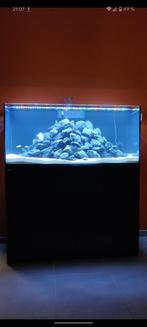 Aquarium Red Sea Reefer 350 noir, Dieren en Toebehoren, Ophalen, Gebruikt, Leeg aquarium
