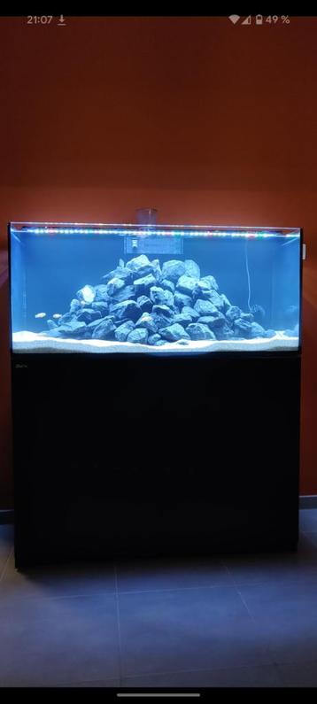 Aquarium Red Sea Reefer 350 noir, Animaux & Accessoires, Enlèvement, Utilisé, Aquarium vide