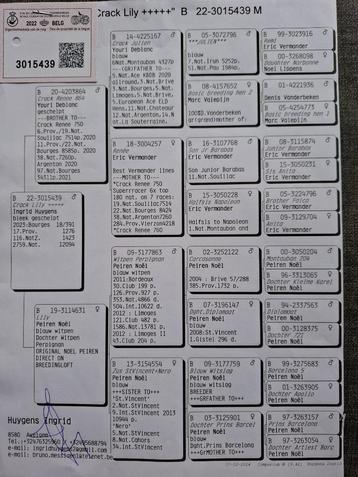 Fondduiven  beschikbaar voor biedingen