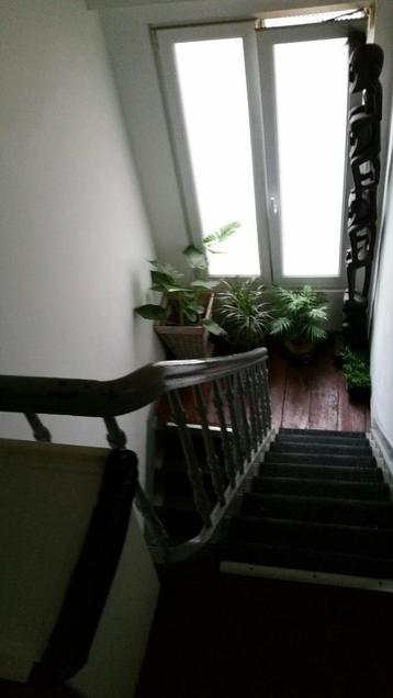 Studio centrum Antwerpen, €590 + €90 = €680, 20 à 35 m², Anvers (ville)